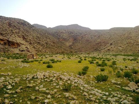 برداشت سدها کامیون خاک هر روز از محوطه باستانی ۴۰۰ هکتاری ارجان برداشت سدها کامیون خاک هر روز از محوطه باستانی ۴۰۰ هکتاری ارجان